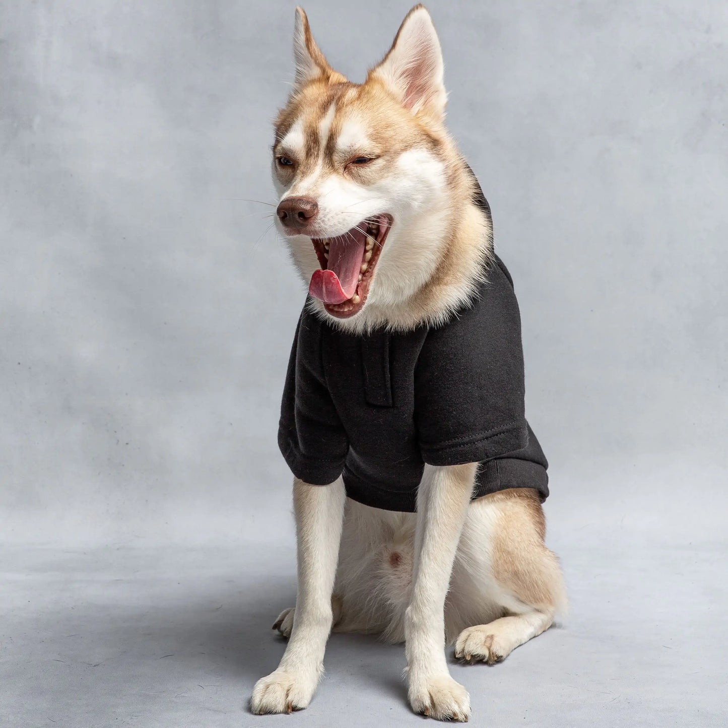 Hooded Dog Fleece | Licensed US Army® Hoodie for dogs